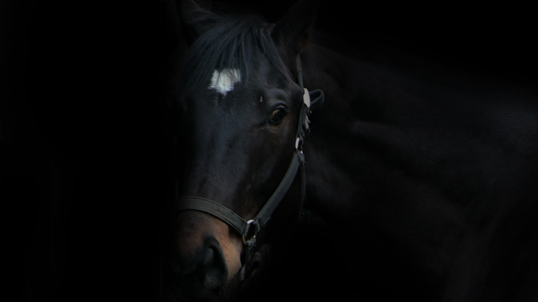 VANTABLACK