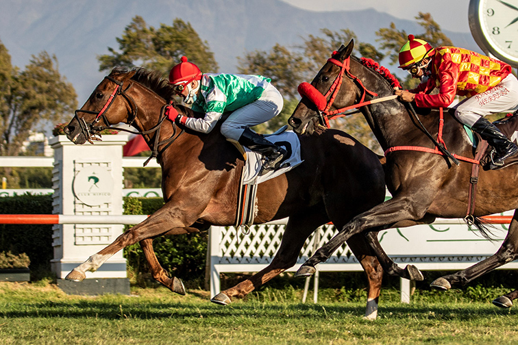 Terzo (Rock of Gibraltar) gana handicap (1000m-Pasto-CHS)